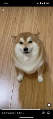 かぴばらの画像