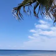 srkmの画像