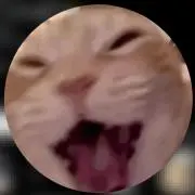 jacksonの画像