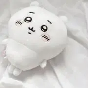 SHIROの画像