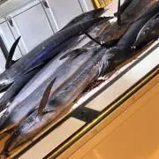 Takafumi29