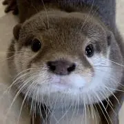 たーちゃん·*♪の画像