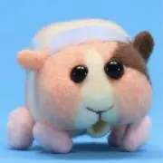 シロモの画像