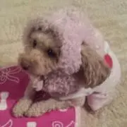ユキココ☺の画像