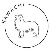 KAWACHI✨希望額ご登録ください✨の画像
