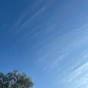 aaaの画像
