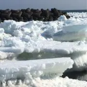 MASAの画像