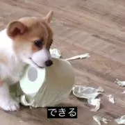 か