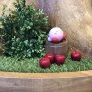 ぷりんの画像