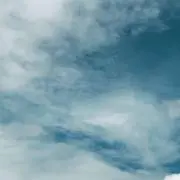 のんの画像