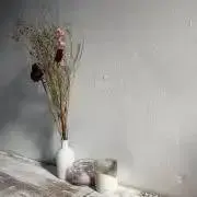 fruit【セール中】の画像