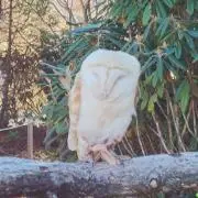 YOU☆