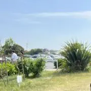 yの画像