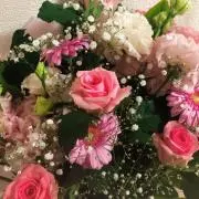 たかぽんの画像