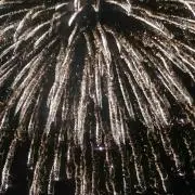 STAR119の画像
