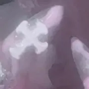 即購入⚪︎の画像
