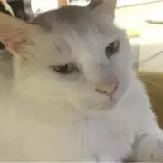 keeiの画像