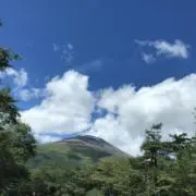 takaの画像