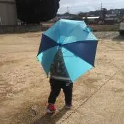 ちょうち 発送ができない日あります。