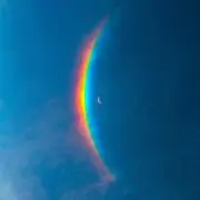 エルモの画像