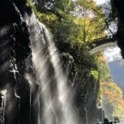 miroirの画像
