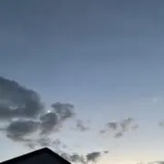 raditの画像