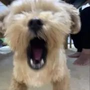 Kの画像