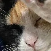 GUK☆の画像