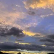 Image of ( *´꒳`* )