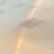 にじこ
