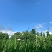 ルーク