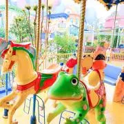 柏の画像