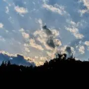 HARU-sanの画像