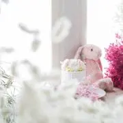 ひまひま子猫の画像