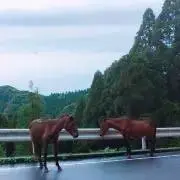 ひけっちの画像