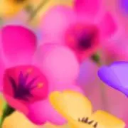 ♡R♡の画像