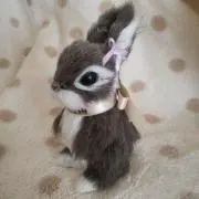 ピンクラビの画像