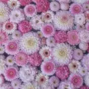 tomi⌘mitoの画像