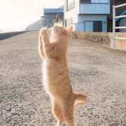 なか
