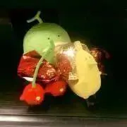 akominの画像