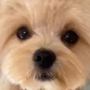 Image of bonita✳︎プロフ必読お願いします