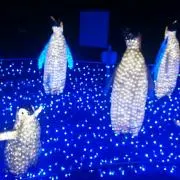 いとはの画像