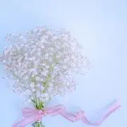 Irisuの画像
