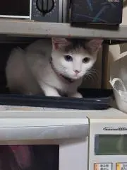 るな