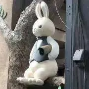 maro｜プロフにペット詳細の画像