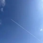 nasariの画像