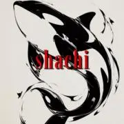 オンライン古着屋shachiの画像