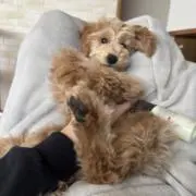 づん