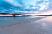 おーたの画像