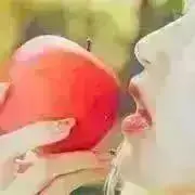 赤リンゴ  （断捨離中）の画像
